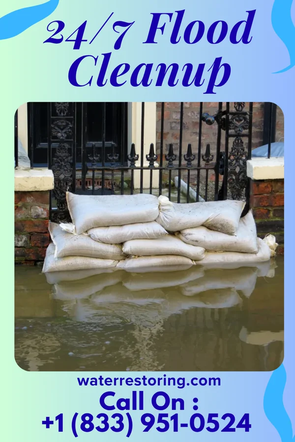 24/7 Flood Cleanup in Villa Pancho, TX