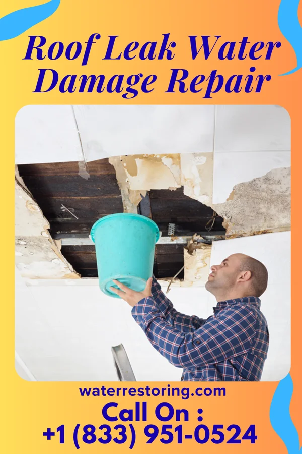 Roof Leak Water Damage Repair in Villa Pancho, TX